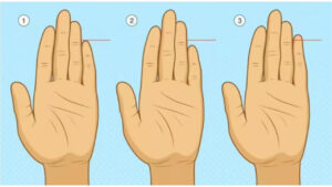Personality Test: చేతి వేళ్లను బట్టి మనిషి క్యారెక్టర్ చెప్పేయొచ్చు.. మరి మీరెలాంటి వారో తెల్సా