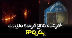 జన్నారం కవ్వాల్ టైగర్ రిజర్వ్‎లో కార్చిచ్చు