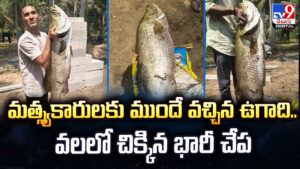 మత్స్యకారులకు ముందే వచ్చిన ఉగాది.. వలలో చిక్కిన భారీ చేప