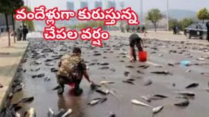 ప్రకృతి మాయాజాలం..100 ఏళ్లుగా కురుస్తున్న చేపల వర్షం.. ఆ రహస్యం తెలిస్తే