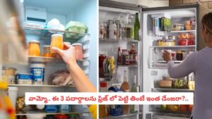Fridge Mistakes : ఈ 3 పదార్థాలను ఫ్రిజ్‌లో పెట్టి పదే పదే తింటున్నారా?.. ఎన్ని అనర్థాలో తెలిస్తే వెంటనే పడేస్తారు..