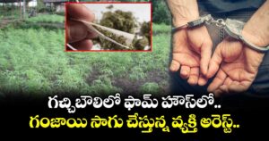 గచ్చిబౌలిలో ఫామ్ హౌస్ లో గంజాయి సాగు చేస్తున్న వ్యక్తి అరెస్ట్.. 