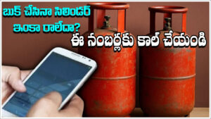 LPG Gas: మీరు సిలిండర్‌ బుక్‌ చేసినా ఇంకా రాలేదా? నో టెన్షన్‌.. ఈ నంబర్లకు కాల్ చేస్తే వెంటనే వచ్చేస్తుంది!