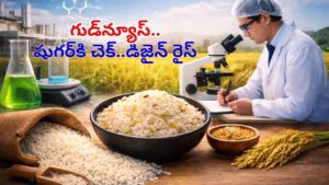 Good News For Diabetics: వావ్‌.. డయాబెటిస్ ఉన్నా అన్నం తినొచ్చు! శాస్త్రవేత్తలు కనిపెట్టిన డిజైనర్ రైస్‌తో చింతలేదిక