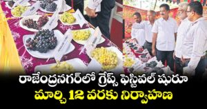 రాజేంద్రనగర్లో గ్రేప్స్‌‌‌‌‌‌‌‌‌‌‌‌‌‌‌‌ ఫెస్టివల్ షురూ.. మార్చి  12 వరకు నిర్వాహణ