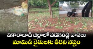వికారాబాద్ జిల్లాలో వడగండ్ల వానలు..మామిడి రైతులకు తీరని నష్టం