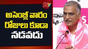 Harish Rao : అసెంబ్లీ వారం రోజులు కూడా నడవదు