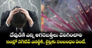 Vastu Tips : దేవుడికి ఎన్ని అగరబత్తీలు వెలిగించాలి.. ఇంట్లో నెగెటివ్ ఎనర్జీకి.. లైట్లకు సంబంధం ఏంటీ..