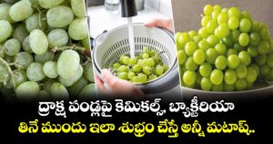 ద్రాక్ష పండ్లపై కెమికల్స్, బ్యాక్టీరియా.. తినే ముందు ఇలా శుభ్రం చేస్తే అన్నీ మటాష్..