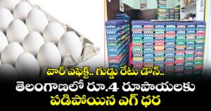 వార్ ఎఫెక్ట్.. గుడ్డు రేటు డౌన్.. తెలంగాణలో రూ.4 రూపాయలకు పడిపోయిన ధర