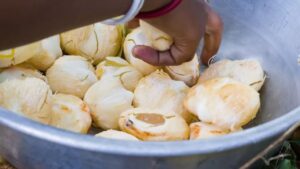 Ice Apple: వేసవిలో దొరికే ఈ పండ్లను తినడం ఎన్ని ప్రయోజనాలో.. తెలిస్తే అస్సలు వదలరు!