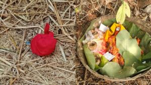 Telangana: ప్లేస్‌ ఒక్కటే.. ఒక్కో రోజూ ఒక్కో స్టైల్‌లో పూజలు.. ఏంటని ఆరా తీయగా..