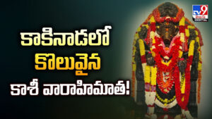 కాకినాడలో కొలువైన భారతదేశపు 2వ అతిపెద్ద వారాహి దేవి విగ్రహ