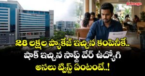 28 లక్షల ప్యాకేజ్ ఇచ్చిన కంపెనీకే షాక్ ఇచ్చిన సాఫ్ట్ వేర్ ఉద్యోగి...అసలు ట్విస్ట్ ఏంటంటే..!