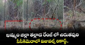 ఖమ్మం జిల్లా తల్లాడ రేంజ్ లో చిరుతపులి... సీసీకెమెరాలో విజువల్స్ రికార్డ్.. 