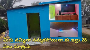 Andhra: ఔరా..! రూ.28 వేలలో భలేగా ఇల్లు కట్టావ్ బ్రదర్..