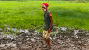 Bouncing Land in India: యేళ్లుగా అంతుచిక్కని రహస్యం.. ఇక్కడి నేలపై నడిచినా, దూకినా స్పాంజిలా ఎగురుతారు! ఎక్కడుందంటే..