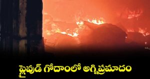 ప్లైవుడ్ గోదాంలో అగ్నిప్రమాదం