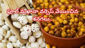 Makhana Vs Roasted Chana: ఫూల్ మఖానా వర్సెస్ వేయించిన శనగలు.. ఈ రెండింటిలో ఎక్కువ ఆరోగ్యం? నిపుణులు ఏం చెబుతున్నారంటే..