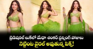 Medha Shankr: ట్రెడిషనల్ లుక్‌లో మేధా శంకర్ స్టన్నింగ్ పోజులు... నెట్టింట వైరల్ అవుతున్న పిక్స్!