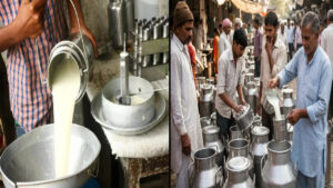Milk Business: బిగ్‌ అలర్ట్‌.. ఈ ఒక్క తప్పు చేస్తే చాలు మీ పాల వ్యాపారం క్లోజ్‌.. FSSAI కొత్త మార్గదర్శకాలు!