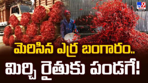 మెరిసిన ఎర్ర బంగారం.. మిర్చి రైతుకు పండగే
