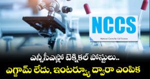 ఎన్ సీసీఎస్ లో టెక్నికల్ పోస్టులు.. ఎగ్జామ్ లేదు, ఇంటర్వ్యూ ద్వారా ఎంపిక 