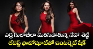 Neha Sshetty : రెడ్ హాట్ లుక్‌లో ‘రాధిక’ సెగలు.. నేహా శెట్టి గ్లామర్ విందుపై నెటిజన్లు ఫిదా!
