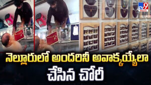 Nellore: నెల్లూరులో అందరినీ అవాక్కయ్యేలా చేసిన చోరీ