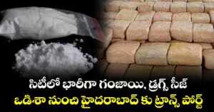 సిటీలో భారీగా గంజాయి, డ్రగ్స్ సీజ్.. ఒడిశా నుంచి హైదరాబాద్ కు ట్రాన్స్ పోర్ట్