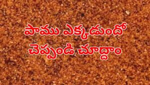 Optical illusion: మీ కళ్లకు సూపర్ టెస్ట్.. ఈ చిత్రంలో దాగిఉన్న పామును 5 సెకన్లలో కనిపెట్టండి చూద్దాం