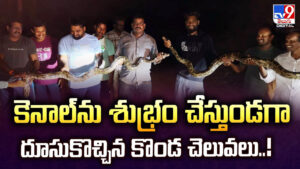 కెనాల్‌ను శుభ్రం చేస్తుండగా దూసుకొచ్చిన కొండ చెలువలు..!