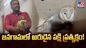 Rare Bird: జనగామలో అరుదైన పక్షి ప్రత్యక్షం !! ఇదేంటి ఇలా ఉంది