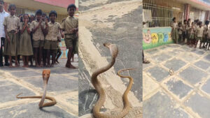 Andhra: స్కూల్‌‌కి వచ్చిన నాగరాజు.. ఈ పిల్లలు చూడండి ఏం చేశారో..