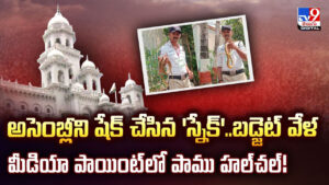అసెంబ్లీని షేక్ చేసిన ‘స్నేక్’.. బడ్జెట్ వేళ మీడియా పాయింట్‌లో పాము హల్‌చల్