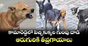 కామారెడ్డిలో పిచ్చికుక్కల గుంపు దాడి.. ఆరుగురికి తీవ్రగాయాలు