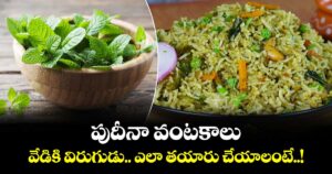 Summer Food : పుదీనా వంటకాలు..  వేడికి విరుగుడు.. ఎలా తయారు చేయాలంటే..! 