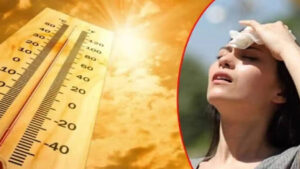 Summer Tips: సుర్రుమంటున్న సూరీడు.. వడదెబ్బ తగిలితే కనిపించే లక్షణాలు ఇవే..