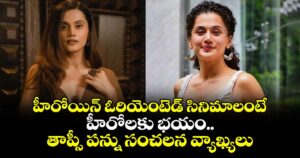 Taapsee Pannu : హీరోయిన్ ఓరియెంటెడ్ సినిమాలంటే హీరోలకు భయం.. తాప్సీ పన్ను సంచలన వ్యాఖ్యలు.