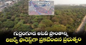 గుర్రంగూడ అటవీ ప్రాంతాన్ని రిజర్వ్ ఫారెస్ట్‌గా ప్రకటించిన ప్రభుత్వం