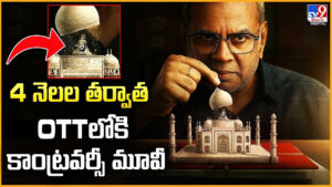 The Taj Story OTT: తాజ్ మహల్‌ శివుని ఆలయమా ?? OTTలోకి కాంట్రవర్సీ మూవీ..