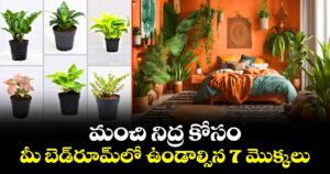 మంచి నిద్ర కోసం మీ బెడ్‌రూమ్‌లో ఉండాల్సిన 7 మొక్కలు.....