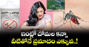 Health : ఇంట్లో దోమల కన్నా వీటితోనే ప్రమాదం ఎక్కువ..!