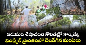 Big Breaking: తిరుమల శేషాచలం కొండల్లో కార్చిచ్చు.. విండ్మిల్ ప్రాంతంలో చెలరేగిన మంటలు