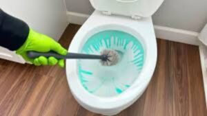 Toilet Cleaning: ఖరీదైన కెమికల్స్ వద్దు.. ఇంట్లో దొరికే వీటితో క్లీన్ చేస్తే.. మీ టాయిలెట్ మిళమిళా మెరవాల్సిందే!