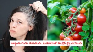 Premature Greying: చిన్న వయసులోనే జుట్టు తెల్లబడుతోందా?.. మీ వంటగదిలోని టమోటాయే దీనికి బెస్ట్ మెడిసిన్!