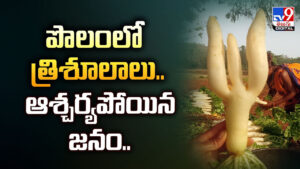 Viral Video: పొలంలో త్రిశూలాలు.. ఆశ్చర్యపోయిన జనం..