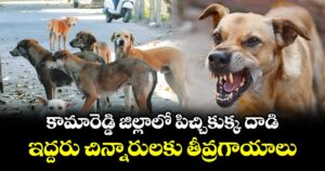 కామారెడ్డి జిల్లాలో పిచ్చికుక్క దాడి..ఇద్దరు చిన్నారులకు తీవ్రగాయాలు