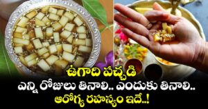ఉగాది పచ్చడి ఎన్ని రోజులు తినాలి.. ఎందుకు తినాలి.. ఆరోగ్య రహస్యం ఇదే..!