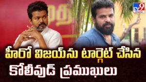 Vijay: హీరో విజయ్ ను టార్గెట్ చేసిన కోలీవుడ్ ప్రముఖులు